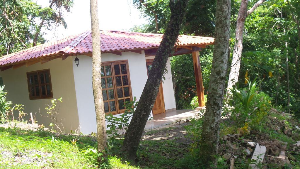 Casa Iguana Villa Playa Santa Teresa  Стая снимка